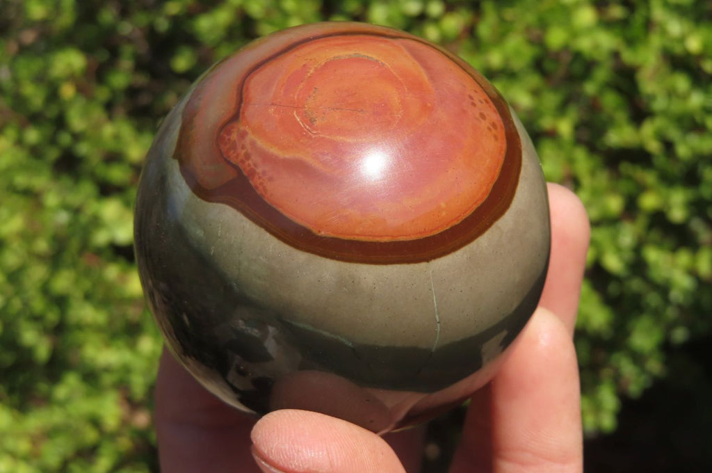Polished Polychrome Jasper Spheres x 3 From Madagascar - Toprock Gemstones and Minerals 