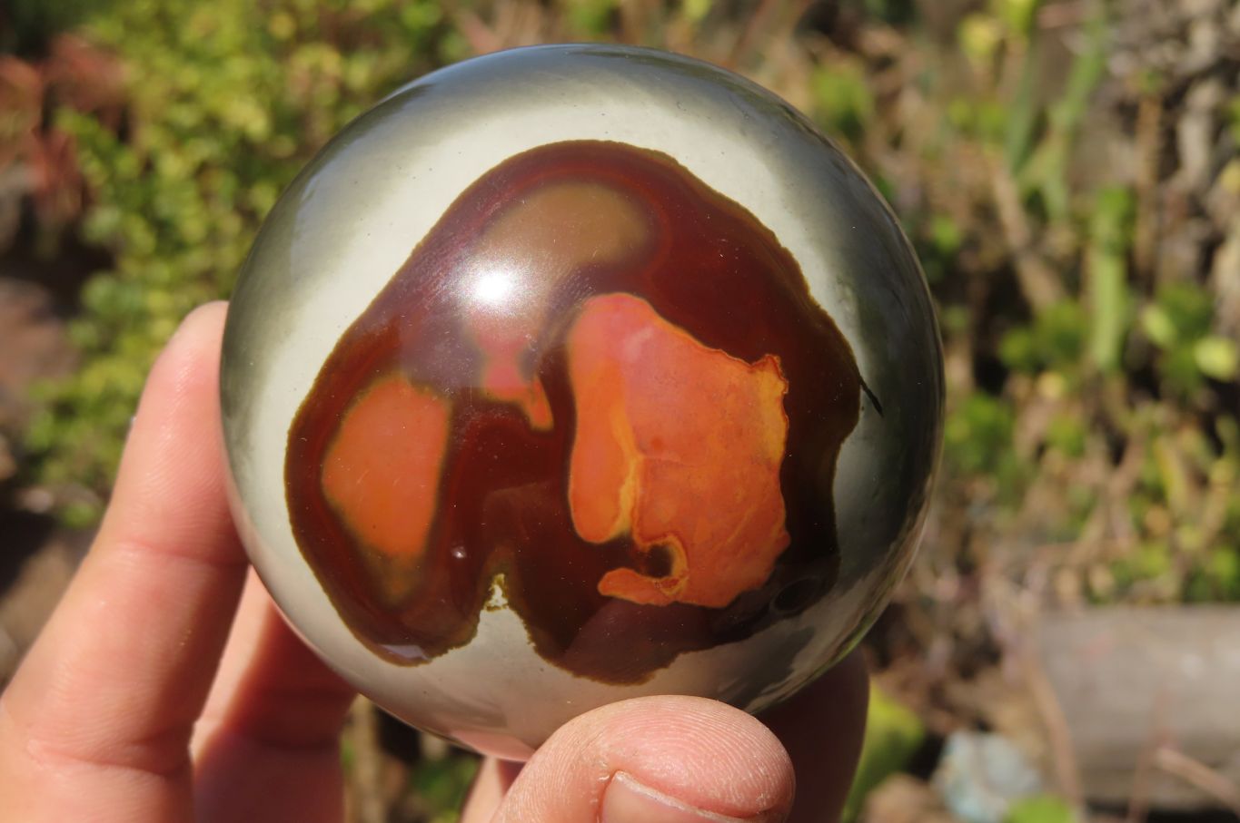 Polished Polychrome Jasper Spheres x 3 From Madagascar - Toprock Gemstones and Minerals 