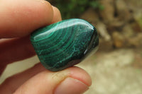 Polished Flower Banded Malachite Free Forms x 35 From Congo - Toprock Gemstones and Minerals 