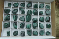 Polished Flower Banded Malachite Free Forms x 35 From Congo - Toprock Gemstones and Minerals 