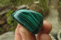 Polished Flower Banded Malachite Free Forms x 35 From Congo - Toprock Gemstones and Minerals 