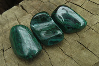 Polished Flower Banded Malachite Free Forms x 35 From Congo - Toprock Gemstones and Minerals 