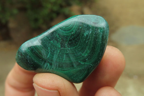 Polished Flower Banded Malachite Free Forms x 35 From Congo - Toprock Gemstones and Minerals 