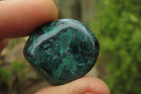 Polished Flower Banded Malachite Free Forms x 35 From Congo - Toprock Gemstones and Minerals 