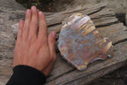 Polished On One Side Nguni Jasper Specimens x 2 From Prieska, South Africa - Toprock Gemstones and Minerals 