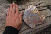 Polished On One Side Nguni Jasper Specimens x 2 From Prieska, South Africa - Toprock Gemstones and Minerals 
