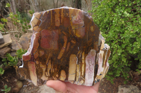 Polished On One Side Nguni Jasper Specimens x 2 From Prieska, South Africa - Toprock Gemstones and Minerals 
