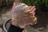 Polished On One Side Nguni Jasper Specimens x 2 From Prieska, South Africa - Toprock Gemstones and Minerals 