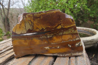 Polished On One Side Nguni Jasper Specimens x 2 From Prieska, South Africa - Toprock Gemstones and Minerals 