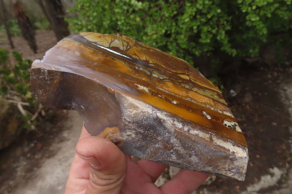Polished On One Side Nguni Jasper Specimens x 2 From Prieska, South Africa - Toprock Gemstones and Minerals 