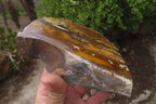 Polished On One Side Nguni Jasper Specimens x 2 From Prieska, South Africa - Toprock Gemstones and Minerals 