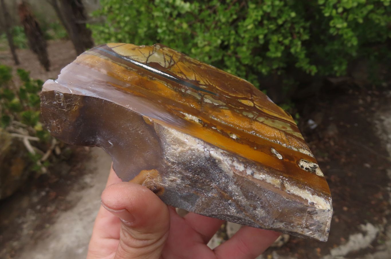 Polished On One Side Nguni Jasper Specimens x 2 From Prieska, South Africa - Toprock Gemstones and Minerals 