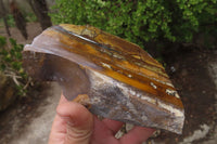 Polished On One Side Nguni Jasper Specimens x 2 From Prieska, South Africa - Toprock Gemstones and Minerals 