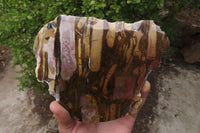 Polished On One Side Nguni Jasper Specimens x 2 From Prieska, South Africa - Toprock Gemstones and Minerals 