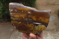 Polished On One Side Nguni Jasper Specimens x 2 From Prieska, South Africa - Toprock Gemstones and Minerals 