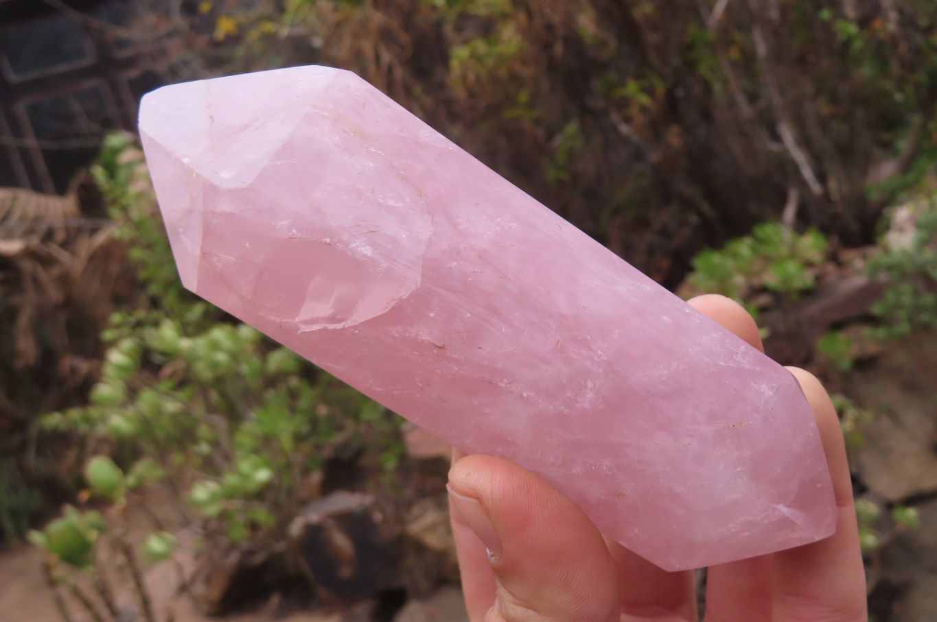Polished Double Terminated Rose Quartz Points x 3 From Madagascar - Toprock Gemstones and Minerals 
