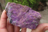 Natural Metallic Purpurite Cobbed Specimens x 6 From Erongo, Namibia - Toprock Gemstones and Minerals 