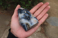 Polished Dendritic Agate Standing Free Forms x 6 From Madagascar - Toprock Gemstones and Minerals 