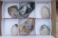 Polished Dendritic Agate Standing Free Forms x 6 From Madagascar - Toprock Gemstones and Minerals 