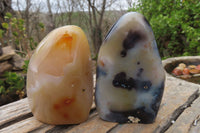 Polished Dendritic Agate Standing Free Forms x 6 From Madagascar - Toprock Gemstones and Minerals 