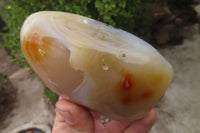Polished Dendritic Agate Standing Free Forms x 6 From Madagascar - Toprock Gemstones and Minerals 