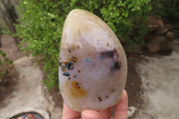 Polished Dendritic Agate Standing Free Forms x 6 From Madagascar - Toprock Gemstones and Minerals 