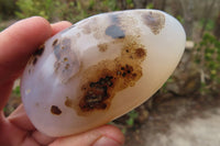 Polished Dendritic Agate Standing Free Forms x 6 From Madagascar - Toprock Gemstones and Minerals 