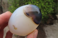 Polished Dendritic Agate Standing Free Forms x 6 From Madagascar - Toprock Gemstones and Minerals 