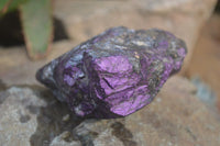 Natural Metallic Purpurite Cobbed Specimens x 5 From Erongo, Namibia - Toprock Gemstones and Minerals 
