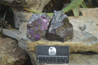 Natural Metallic Purpurite Cobbed Specimens x 5 From Erongo, Namibia - Toprock Gemstones and Minerals 