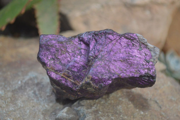 Natural Metallic Purpurite Cobbed Specimens x 5 From Erongo, Namibia - Toprock Gemstones and Minerals 