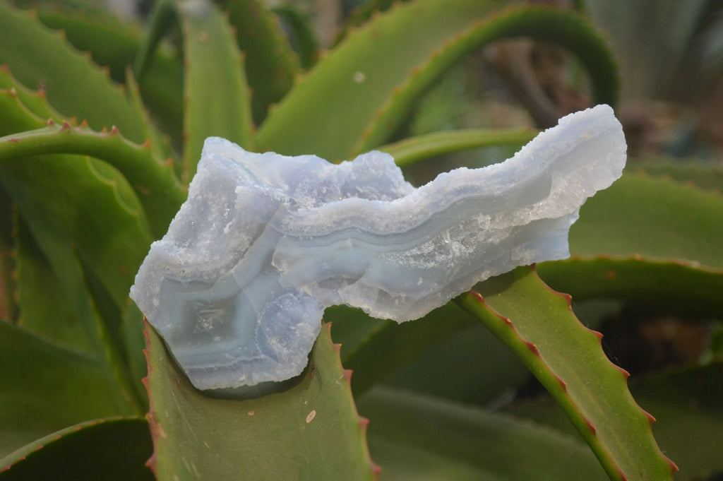 Natural Etched Blue Chalcedony Specimens x 6 From Nsanje, Malawi - Toprock Gemstones and Minerals 