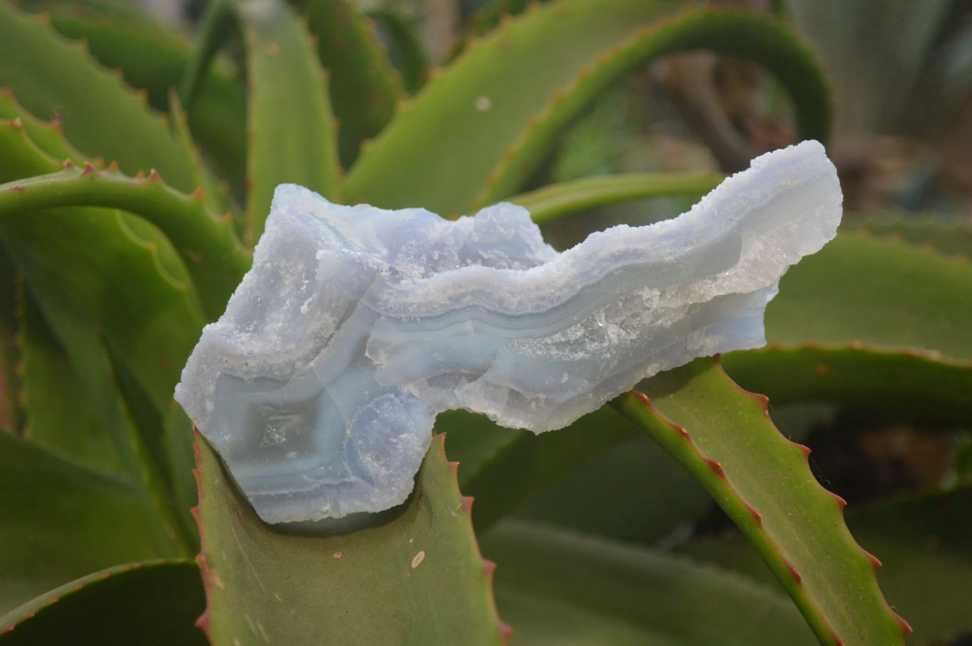 Natural Etched Blue Chalcedony Specimens x 6 From Nsanje, Malawi - Toprock Gemstones and Minerals 