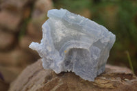 Natural Etched Blue Chalcedony Specimens x 6 From Nsanje, Malawi - Toprock Gemstones and Minerals 