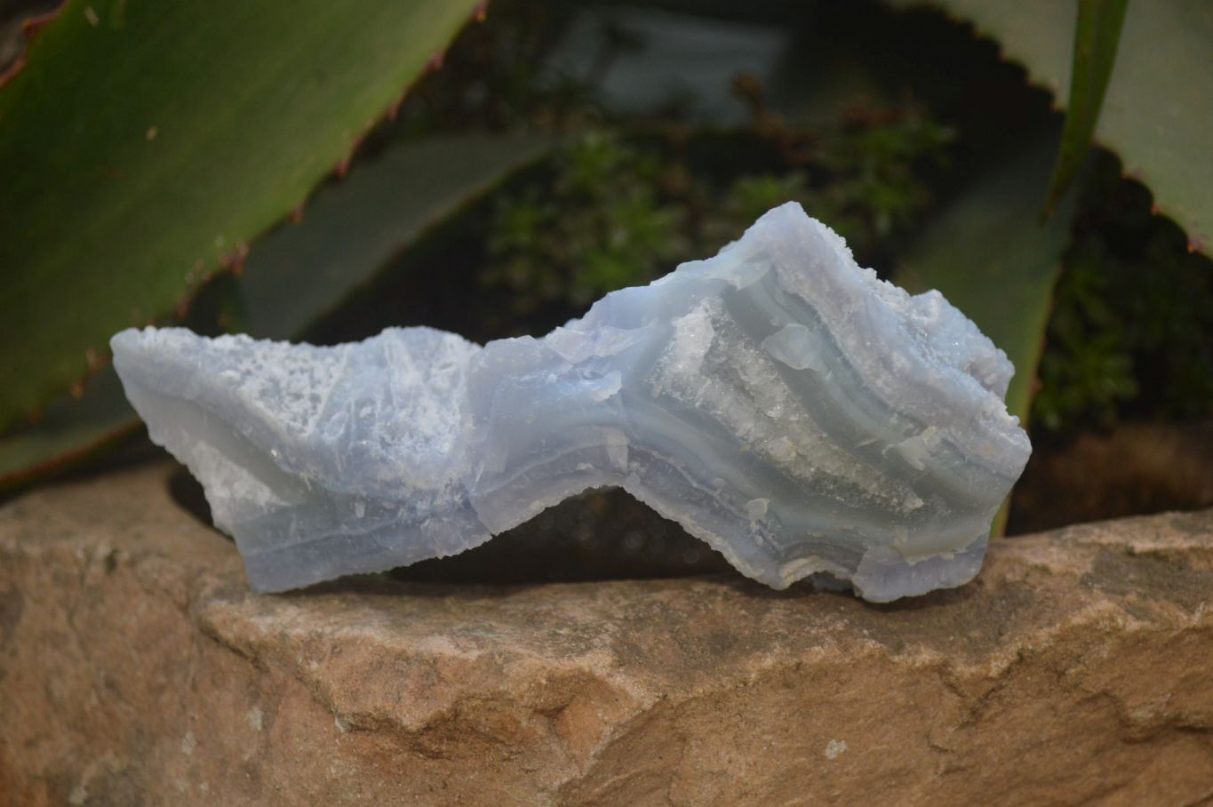 Natural Etched Blue Chalcedony Specimens x 6 From Nsanje, Malawi - Toprock Gemstones and Minerals 