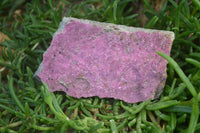 Natural Salrose Cobaltion Dolomite Specimens x 3 From Kakanda, Congo - Toprock Gemstones and Minerals 