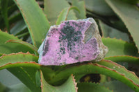 Natural Salrose Cobaltion Dolomite Specimens x 3 From Kakanda, Congo - Toprock Gemstones and Minerals 