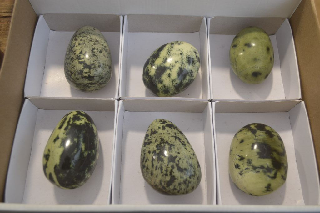 Polished Leopard Stone Galet-Palm Stones x 6 From Zimbabwe - Toprock Gemstones and Minerals 