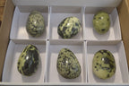 Polished Leopard Stone Galet-Palm Stones x 6 From Zimbabwe - Toprock Gemstones and Minerals 