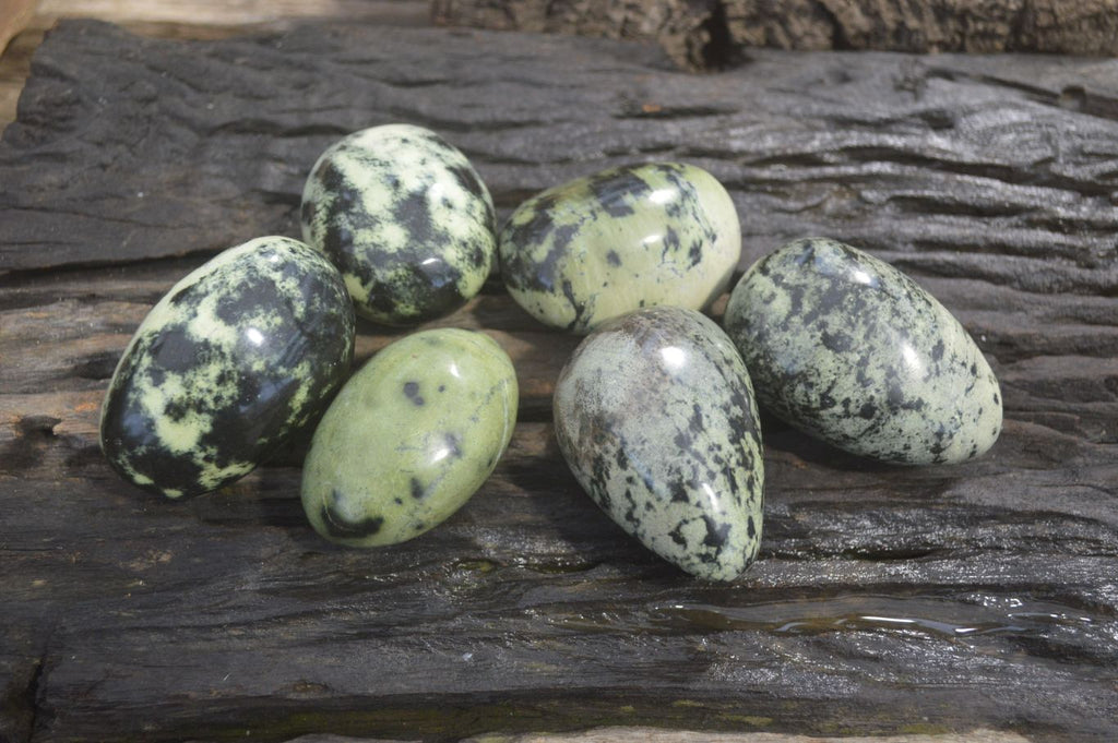 Polished Leopard Stone Galet-Palm Stones x 6 From Zimbabwe - Toprock Gemstones and Minerals 