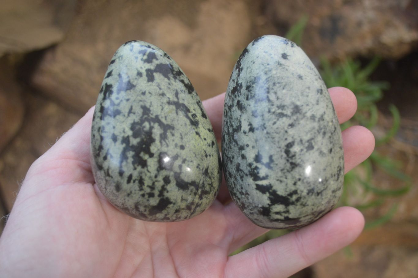 Polished Leopard Stone Galet-Palm Stones x 6 From Zimbabwe - Toprock Gemstones and Minerals 