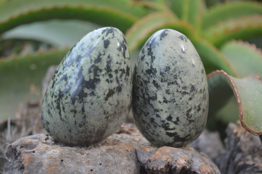 Polished Leopard Stone Galet-Palm Stones x 6 From Zimbabwe - Toprock Gemstones and Minerals 