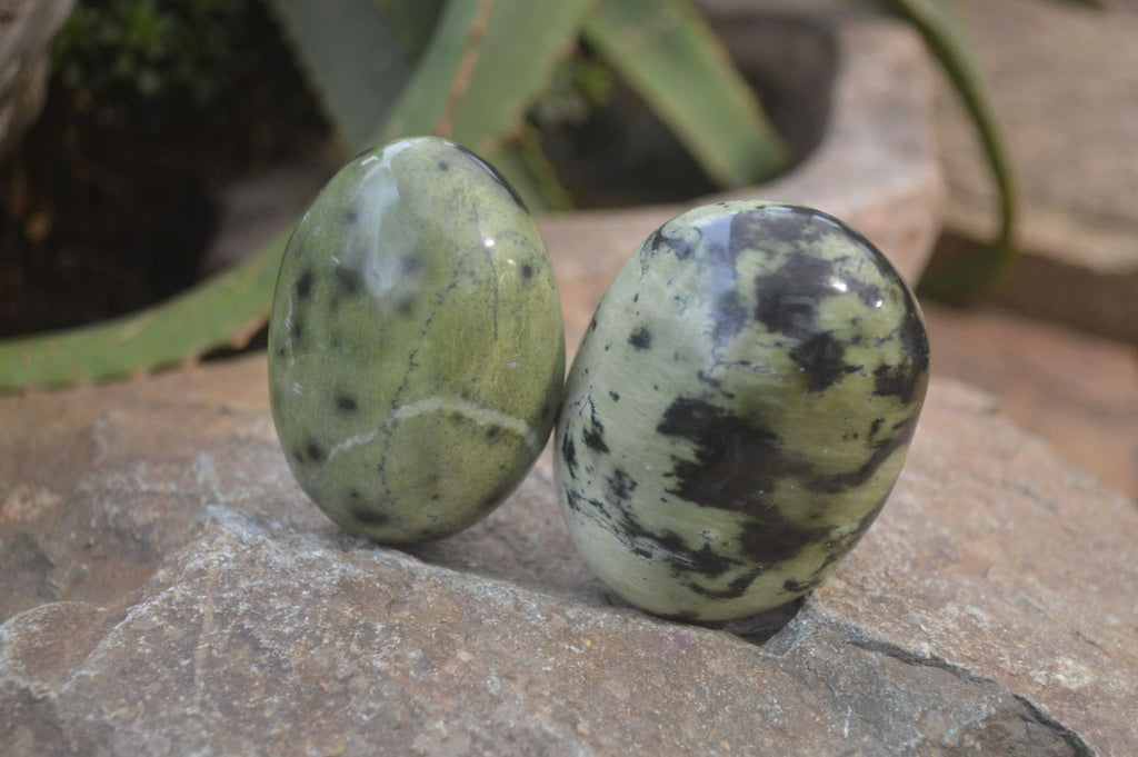 Polished Leopard Stone Galet-Palm Stones x 6 From Zimbabwe - Toprock Gemstones and Minerals 