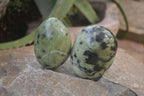 Polished Leopard Stone Galet-Palm Stones x 6 From Zimbabwe - Toprock Gemstones and Minerals 