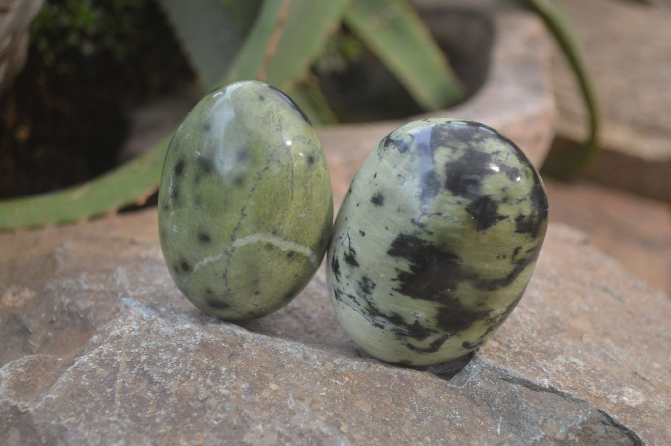 Polished Leopard Stone Galet-Palm Stones x 6 From Zimbabwe - Toprock Gemstones and Minerals 