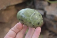 Polished Leopard Stone Galet-Palm Stones x 6 From Zimbabwe - Toprock Gemstones and Minerals 