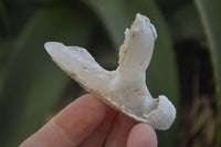 Natural Drusy Quartz Coated Calcite Pseudomorph Specimens x 35 From Lesotho - Toprock Gemstones and Minerals 
