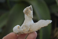 Natural Drusy Quartz Coated Calcite Pseudomorph Specimens x 35 From Lesotho - Toprock Gemstones and Minerals 
