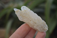 Natural Drusy Quartz Coated Calcite Pseudomorph Specimens x 35 From Lesotho - Toprock Gemstones and Minerals 