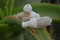 Natural Drusy Quartz Coated Calcite Pseudomorph Specimens x 35 From Lesotho - Toprock Gemstones and Minerals 